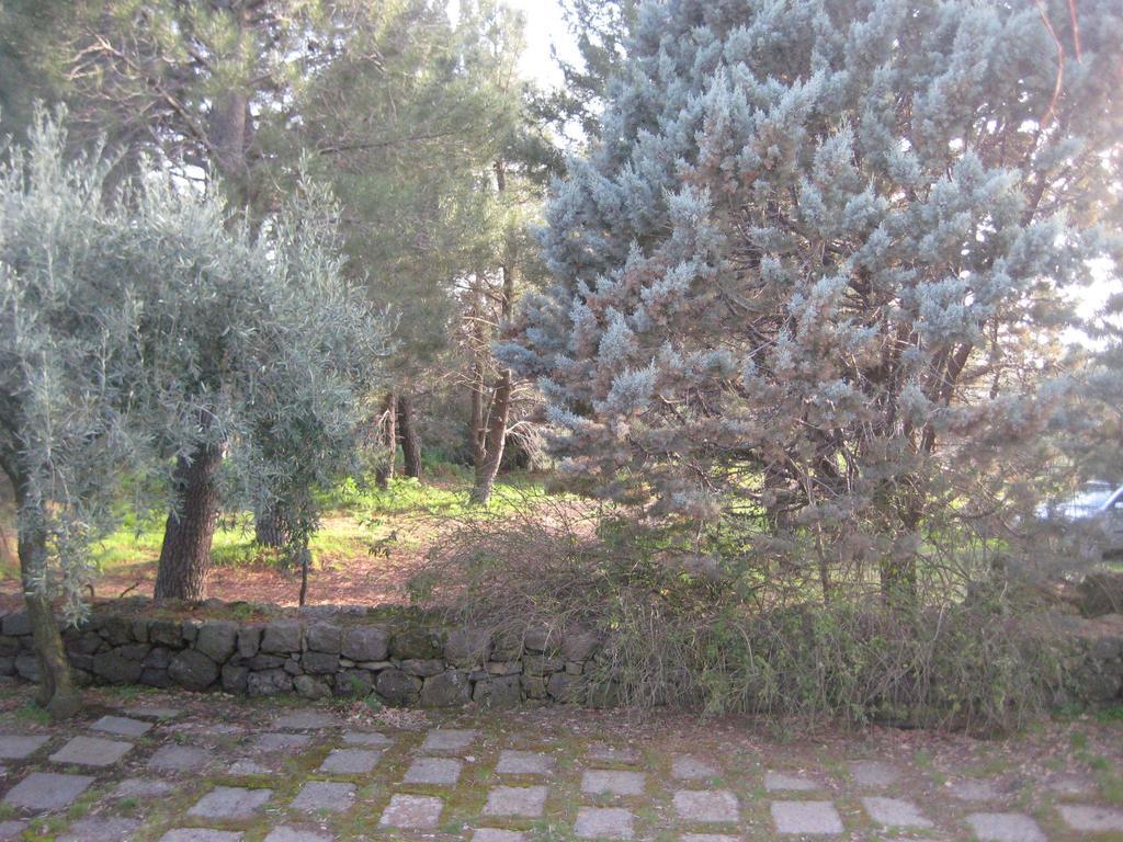 La Casa Del Cavaliere Vila Santa Maria di Licodia Quarto foto