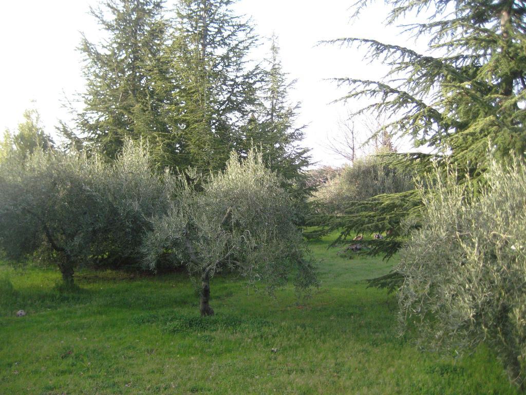 La Casa Del Cavaliere Vila Santa Maria di Licodia Quarto foto